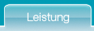 Leistung