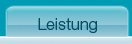 Leistung